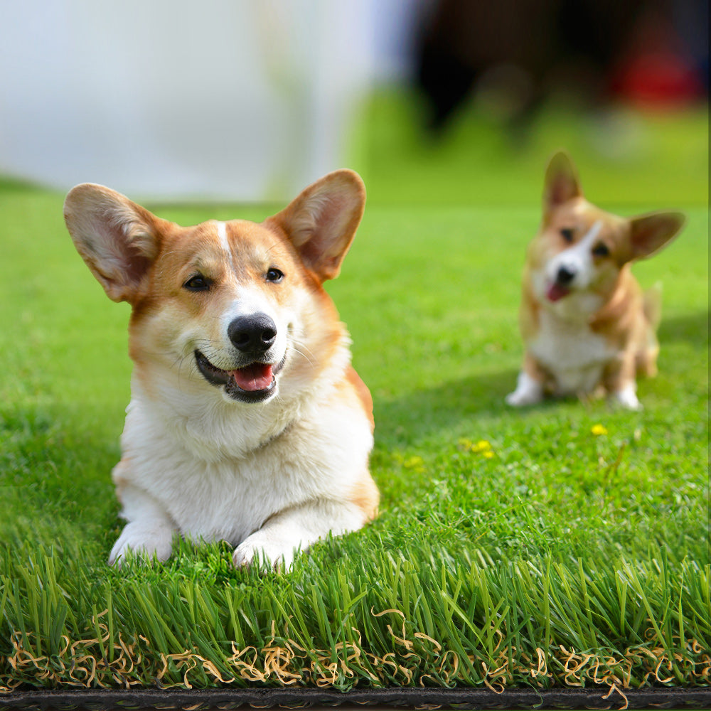 AR-GRASS-SILK-30-205-07.jpg