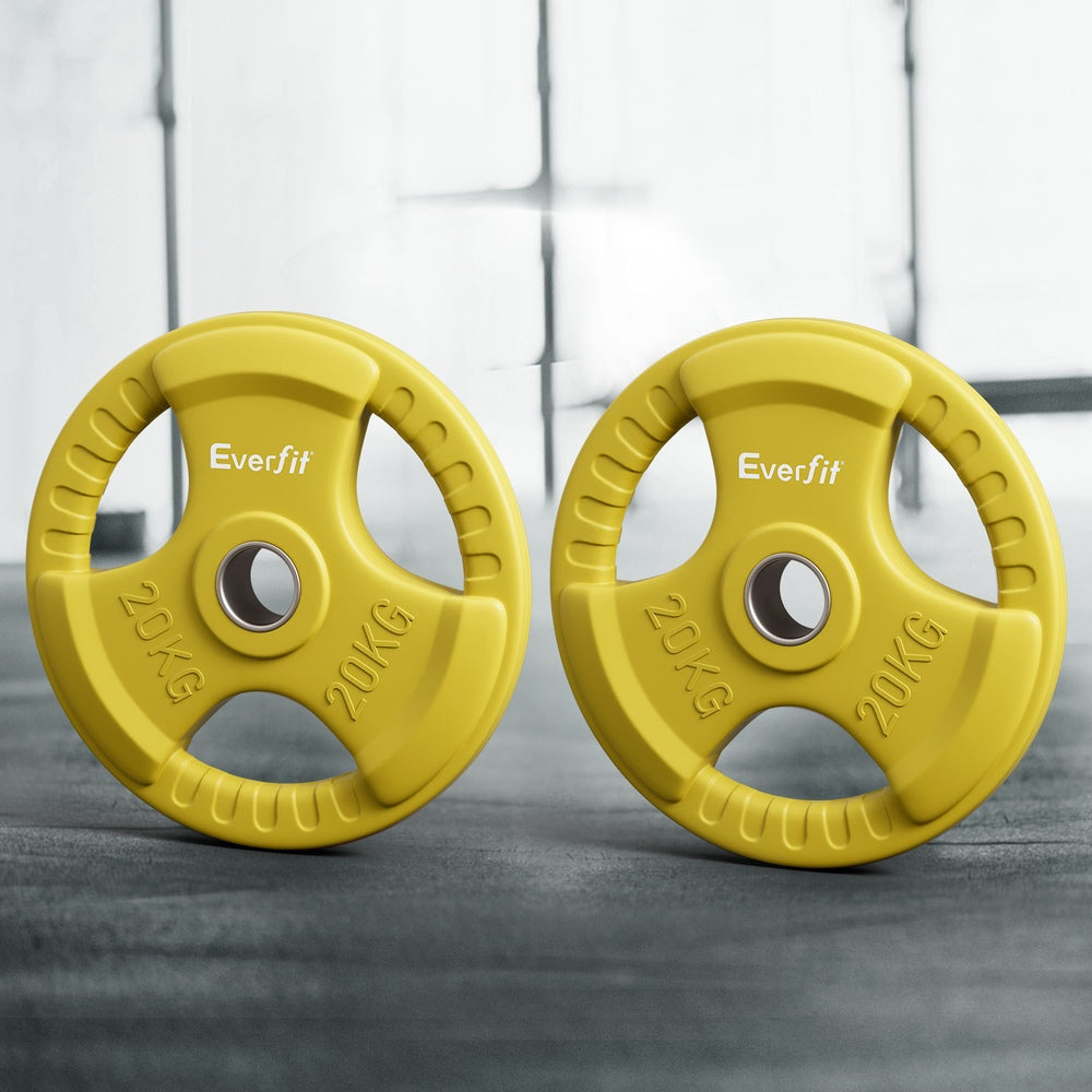 Everfit Weight Plates Olympic 20kgx2 Dumbbell Barbell Plate Weight Lifting Home Gym Yellow