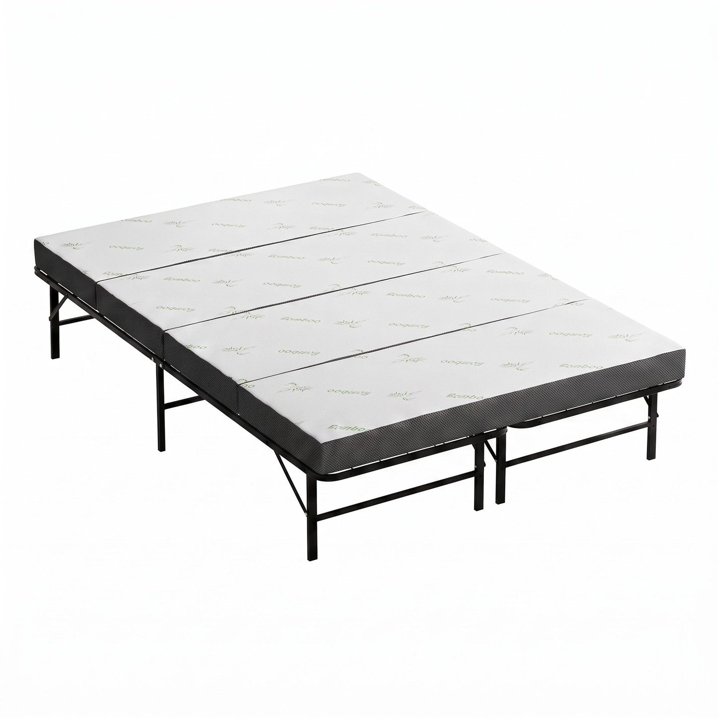 FOAM-MFM-BF-RABAM-Q-08.jpg