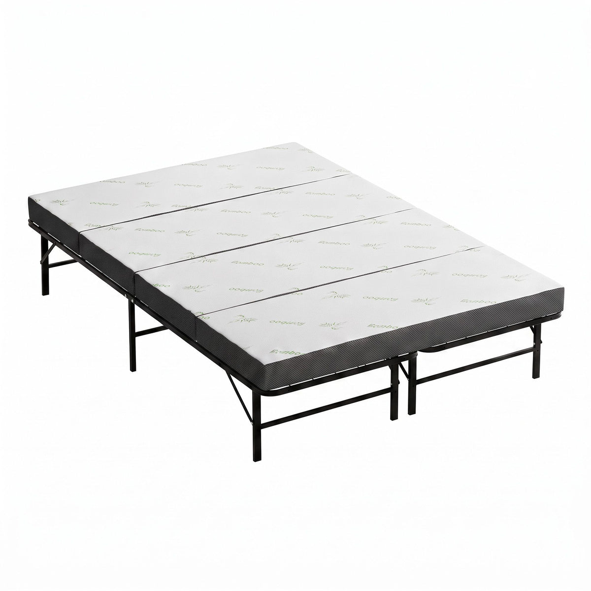 FOAM-MFM-BF-RABAM-Q-08.jpg