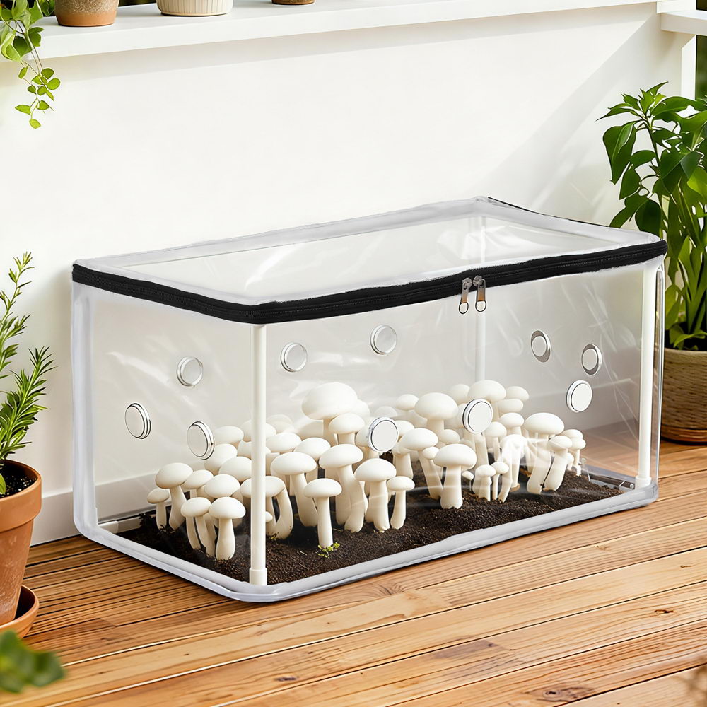 Green Fingers Mini Greenhouse 50x25x25cm PVC Cover for Mushrooms Succulents