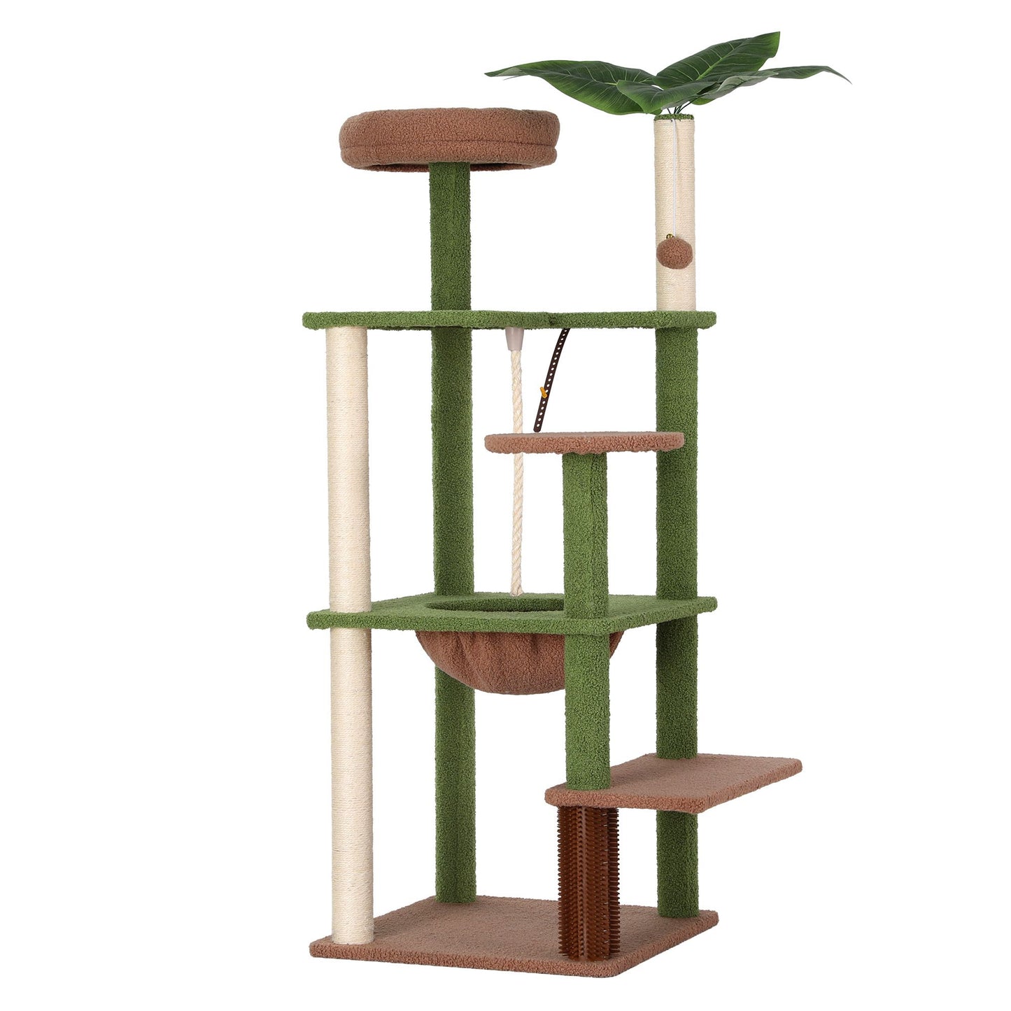 PET-CAT-L152-CT-GNBR-00.jpg