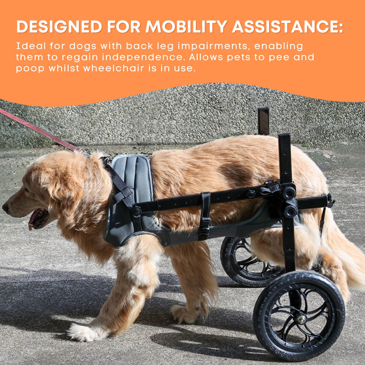 Rooster Farms Large Dog Wheelchair XL Harness - Adjustable Back Leg Aid