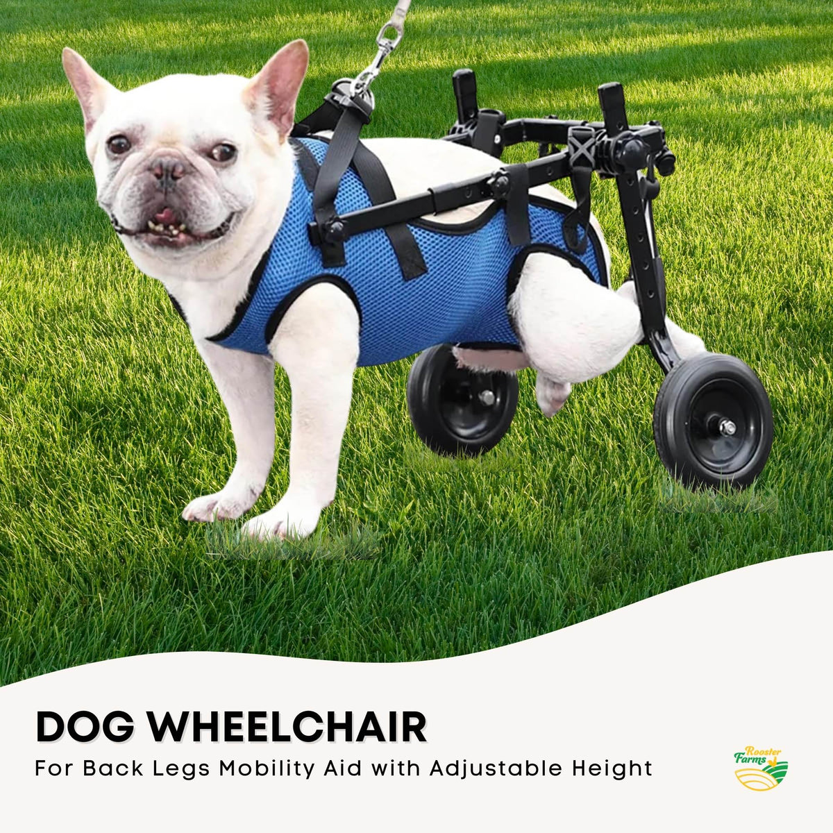 Rooster Farms Little Dog Wheelchair Medium Harness Adjustable Back Leg Aid