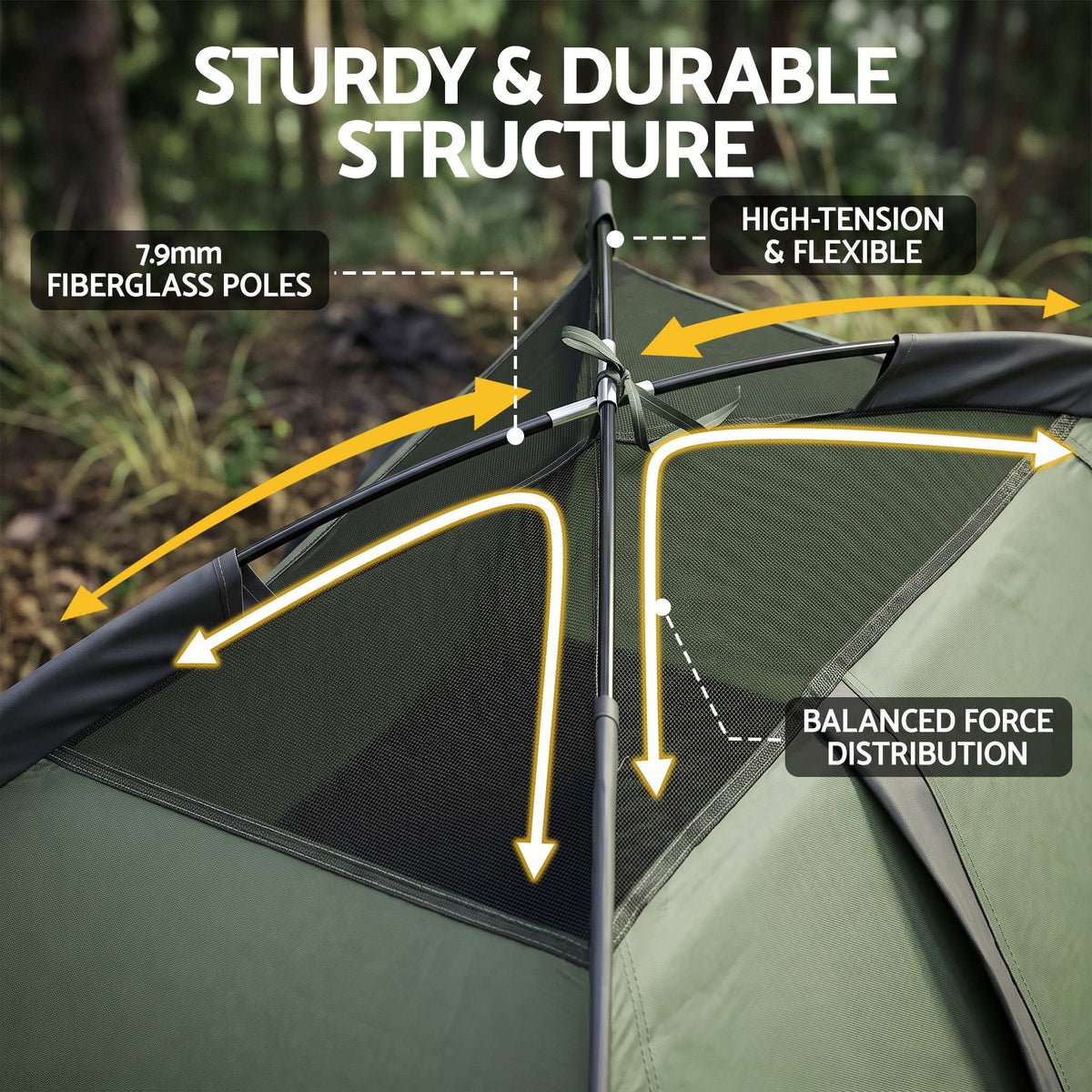 TENT-E-SINGLE-04.jpg