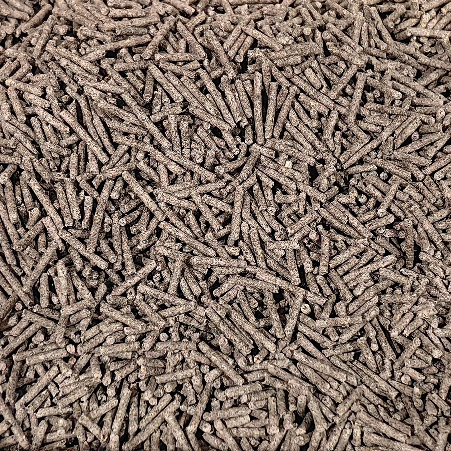 XFPH-CL-GT-3PL-01.jpg