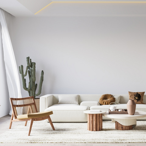 Living Room Furniture
