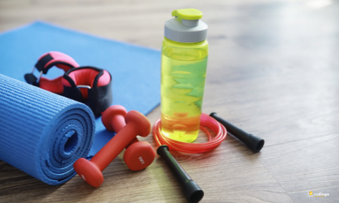 Training Accessories