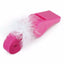 10 Pack Whistles Whistle Hot Pink Sports Cheerleader Hens Night Pink Games Party