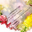 100 X Clear Biodegradable Medium Mailer 250X340mm Compostable Bag Satchels