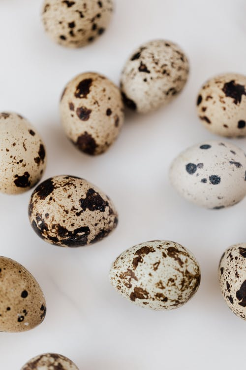 25 X Brown Quail Egg Cartons For 12 Eggs Full Dozen