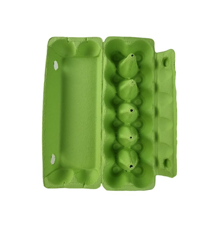 25 X Lime Green Full Dozen Carton 12-Egg Recyclable Egg Cartons