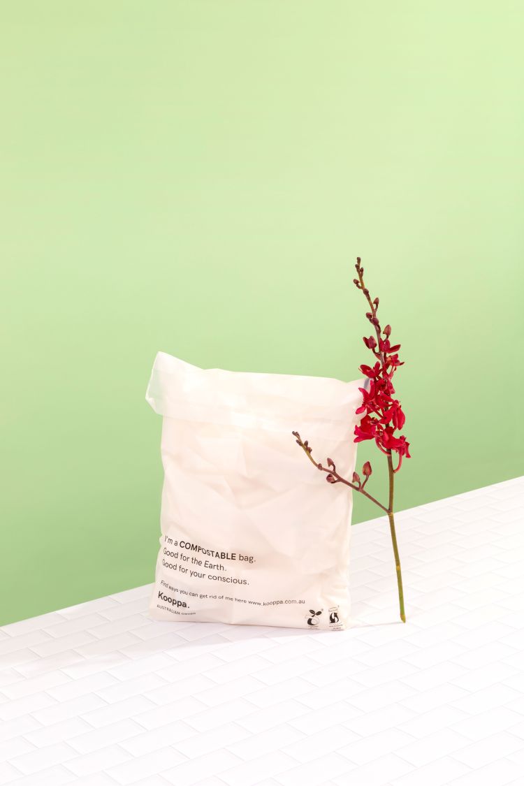 50 X Clear Biodegradable Medium Mailer 250X340mm Compostable Bag Satchels