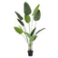 AP-TREE-BIRD-180-09.jpg