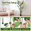 AP-TREE-BIRD-FL-150-03.jpg