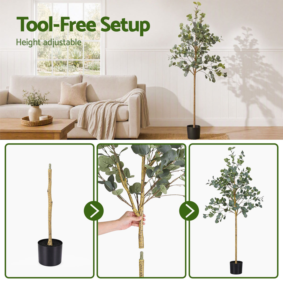 AP-TREE-EUCALY-180-02.jpg