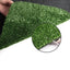 AR-GRASS-15-205M-OL-202502282024-06.jpg