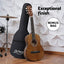 Alpha 31 Inch Acoustic Guitar Portable Design with Steel Strings and Gig Bag Natural