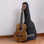Alpha 31 Inch Acoustic Guitar Portable Design with Steel Strings and Gig Bag Natural