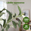Artiss 210cm Artificial Olive Tree Faux Trees Indoor Decor Artificial Plants Lifelike Plant 2.1M