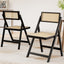Artiss 2x Dining Chairs Wooden Rattan Foldable Black