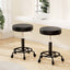 Artiss 2x Salon Stool Round Swivel Chair