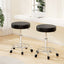 Artiss 2x Salon Stool Round Swivel Chair Black