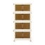 Artiss 4-Tier Foldable Storage Cabinet Stackable Box Clear Magnetic Door White