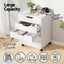 Artiss 5-Drawer Filing Cabinet Mobile Rolling Storage Cabinet Chest of Drawers Stand White