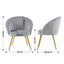 Artiss Armchair Velvet Grey Eloise