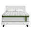 Artiss BedStory Queen Bed Frame Set with Hybrid Mattress and Leather Frame Medium White