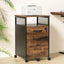 Artiss Filing Cabinet File Cabinet with Wheels 2 Drawer Storage Rustic Brown
