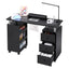 Artiss Manicure Table Nail Desk with Built-in Dust Collector Beauty Salon Station Drawers Shelves Wrist Cushion Wheels Black