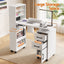 Artiss Manicure Table Nail Desk with Built-in Dust Collector Beauty Salon Station Drawers Shelves Wrist Cushion White