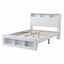 BFRAME-G-CORE-Q-BK-ABC-01.jpg