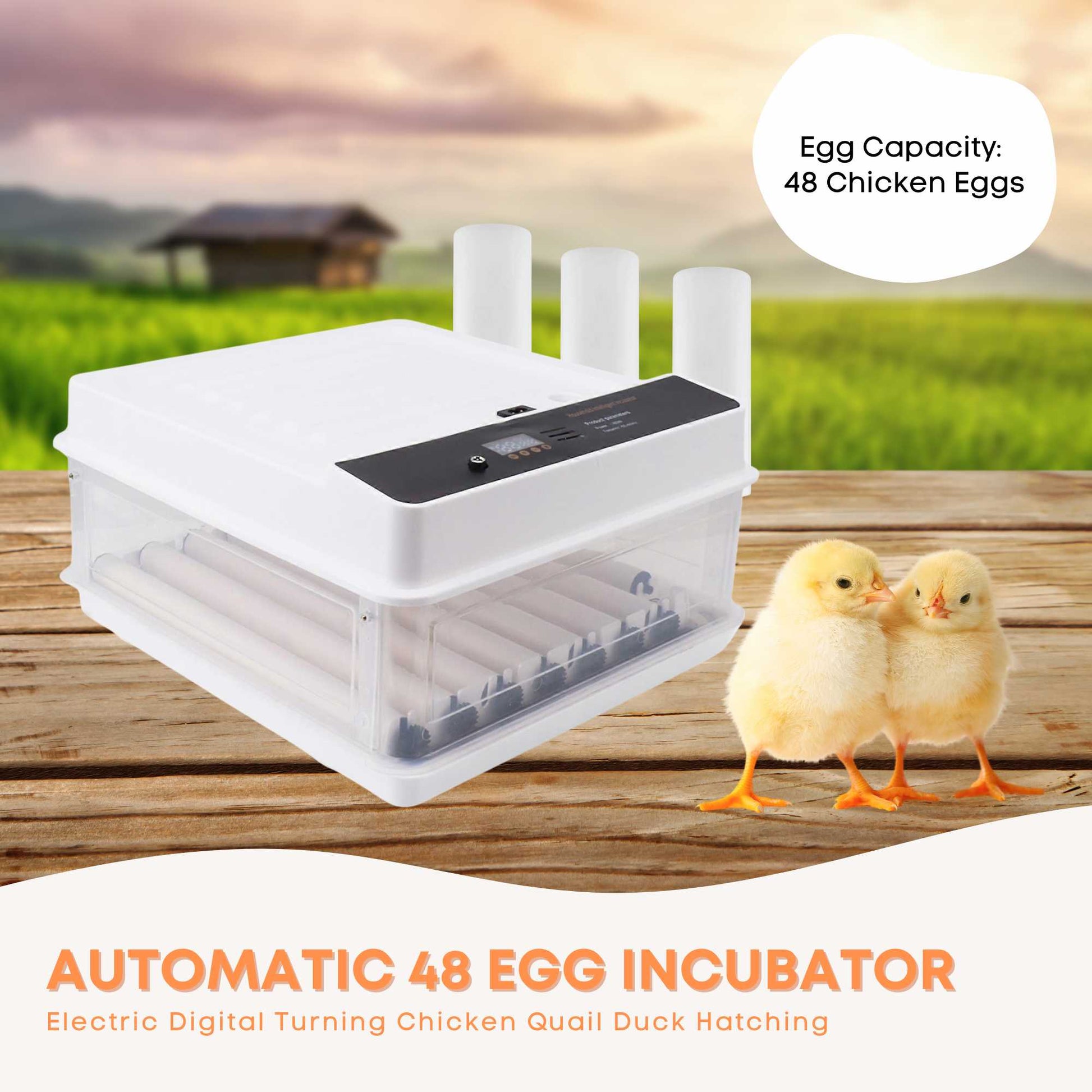 Automatic 48 Egg Incubator - Electric Digital Turning Chicken Quail Duck Hatching