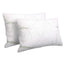 BAM-SHED-PILLOWX2-3487-00.jpg