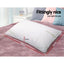BAM-SHED-PILLOWX2-3487-01.jpg