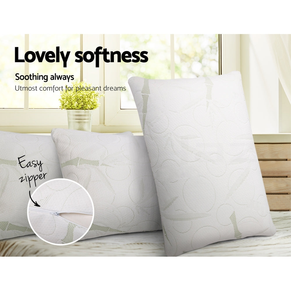 BAM-SHED-PILLOWX2-3487-04.jpg