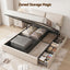 BFRAME-G-APEX-Q-BG-ABC-03.jpg