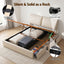 BFRAME-G-APEX-Q-BG-ABC-07.jpg