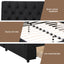 BFRAME-G-LUNA-K-BK-ABC-06.jpg