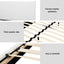 BFRAME-SET-NEO-XF-34-D-202512181558-04.jpg