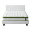 BFRAME-SET-NEO-XFMA-D-202511281208-02.jpg