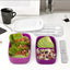 Bentgo Lunch Boxes Adult/Kids Container Storage