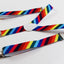 Boys Adjustable Multicoloured Rainbow Diagonal Striped Patterned Suspenders