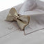 Boys Champagne Plain Bow Tie