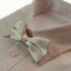 Boys Ivory Plain Bow Tie
