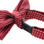 Boys Red Bow Tie With White Polka Dots