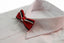 Boys Red With Black & White Stripes Patterned Bow Tie